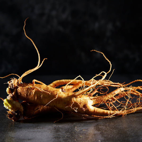 Root vegetable with a dark background